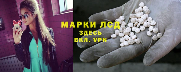 мяу мяу мука Аркадак